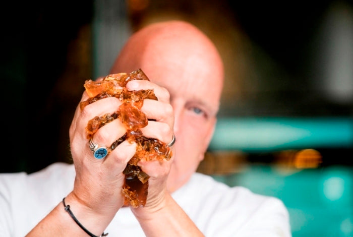 Herman den Blijker over ballotine