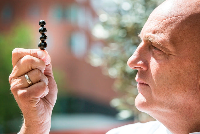 Herman den Blijker over blauwe en zwarte bessen