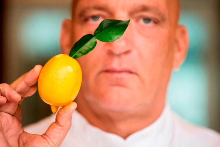 Herman den Blijker over citroenblad