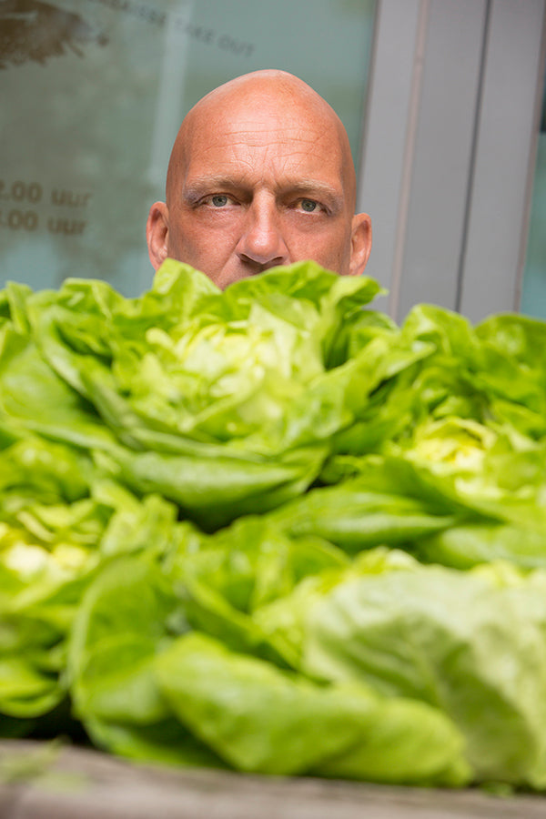 Tip van de chef, gebakken kropsla