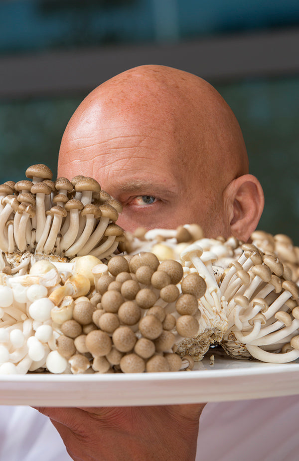 Tip van de chef, paddenstoelen