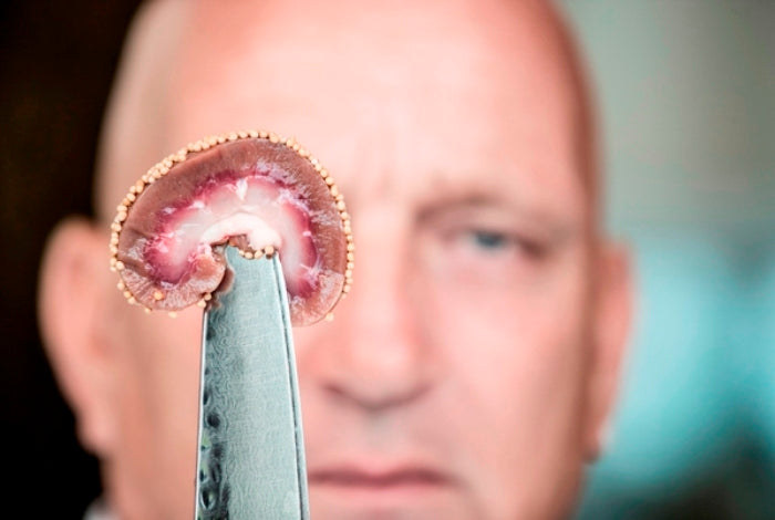 Herman den Blijker over lamsniertjes