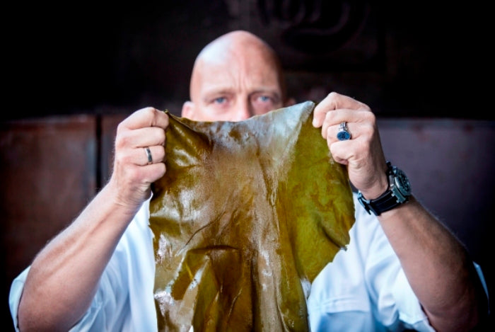 Herman den Blijker over noedelsoep