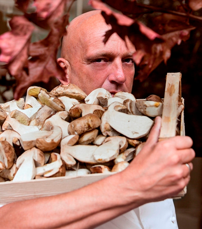 Tip van de chef, paddenstoelen