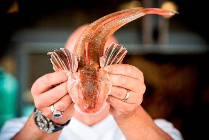 Herman den Blijker over Poon