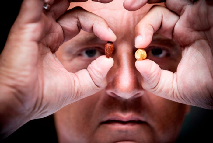 Herman den Blijker over Salsa Romesco