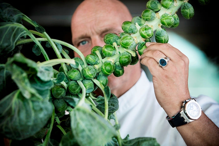 Herman den Blijker over spruitensoep