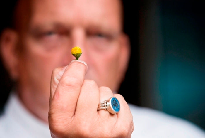 Herman den Blijker over szechuanpeper