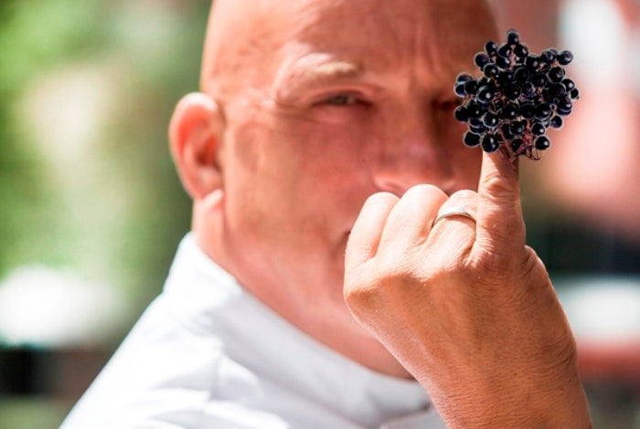 Herman den Blijker over vlierbessen