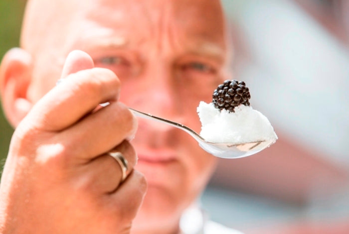 Herman den Blijker over bramen
